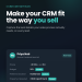 CRM custom fields